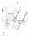 Fig. 09 - Vehicle body structure
