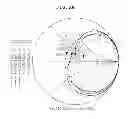 Fig. 08 - WIRELESS POWER TRANSMISSION/RECEPTION APPARATUS AND METHOD