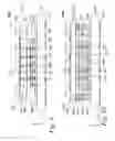 Fig. 07 - Chip packages including through-silicon via dice with vertically inegrated phased-array antennas and low-frequency and power delivery substrates