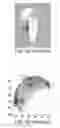 Fig. 02 - Gesture judgment method used in an electronic device