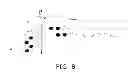 Fig. 09 - Light-based finger gesture user interface