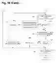 Fig. 22 - System and method for placing spine groups within a display