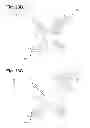 Fig. 28 - System and method for placing spine groups within a display
