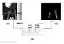 Fig. 01 - APPARATUS AND METHOD FOR IMAGE PROCESSING OF VEHICLE