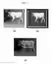 Fig. 02 - APPARATUS AND METHOD FOR IMAGE PROCESSING OF VEHICLE
