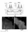 Fig. 06 - HIGH RESOLUTION DUAL-OBJECTIVE MICROSCOPY
