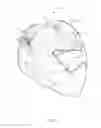 Fig. 03 - PORTABLE AUDIO/ VIDEO MASK