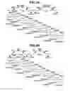 Fig. 04 - Imaging apparatus, method for controlling the same, and storage medium