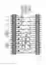 Fig. 07 - Display device
