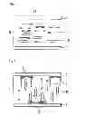 Fig. 02 - Liquid crystal display device and method for producing same