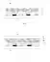 Fig. 03 - Liquid crystal display panel and liquid crystal display