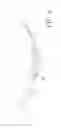 Fig. 06 - EYEGLASSES STRUCTURE