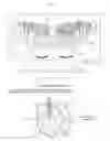 Fig. 12 - Projector device