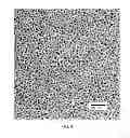 Fig. 05 - Localized surface plasmon resonance mercury detection system and methods