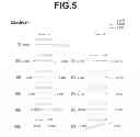 Fig. 06 - Imaging lens and imaging apparatus