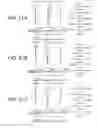 Fig. 22 - Zoom lens system, optical apparatus and method for manufacturing zoom lens system