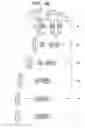 Fig. 37 - Zoom lens system, optical apparatus and method for manufacturing zoom lens system