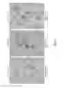 Fig. 05 - Thermally stable low random telegraph noise sensor