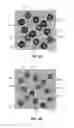 Fig. 03 - Antiferromagnetic (AFM) grain growth controlled random telegraph noise (RTN) suppressed magnetic head