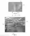 Fig. 06 - Inkjet-printed flexible electronic components from graphene oxide