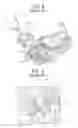 Fig. 07 - Bulb socket and lighting device