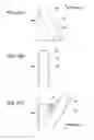 Fig. 22 - ELECTRONIC APPARATUS