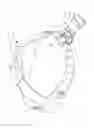 Fig. 06 - Medical headlamp assembly having interchangeable headlamp types