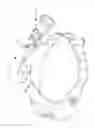 Fig. 07 - Medical headlamp assembly having interchangeable headlamp types