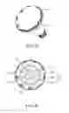Fig. 13 - Focusing structure for LED lamp having a lens assembly rotatably engaged to a main body