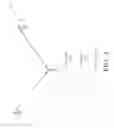 Fig. 05 - CELL CLUSTER COORDINATION