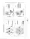 Fig. 12 - Coordinated multipoint (CoMP) and network assisted interference suppression/cancellation