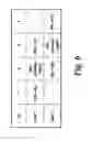 Fig. 07 - Source node and relay node that cooperatively transmit an alamouti code