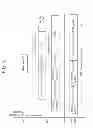 Fig. 06 - Method for transmitting data frame in wireless local area network and apparatus for the same