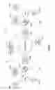 Fig. 02 - Scalable NAT traversal