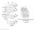 Fig. 16 - Method and apparatus for miniaturization of MIMO systems via tightly coupled antenna array