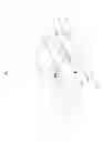 Fig. 07 - Sound apparatus