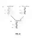 Fig. 08 - System and method for creating an animation from a plurality of latent images encoded into a visible image