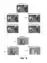 Fig. 13 - System and method for creating an animation from a plurality of latent images encoded into a visible image