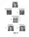 Fig. 15 - System and method for creating an animation from a plurality of latent images encoded into a visible image