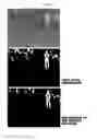 Fig. 04 - Method for detecting pedestrians based on far infrared ray camera at night