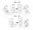 Fig. 08 - Method and apparatus for constructing map for mobile robot