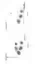 Fig. 09 - Human attribute estimation system, human attribute estimation apparatus and human attribute estimation method