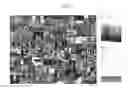 Fig. 07 - Wildcard color searching