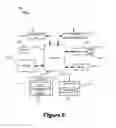 Fig. 07 - Systems and methods for facial age identification