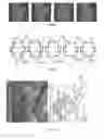 Fig. 02 - Systems and methods for matching face shapes