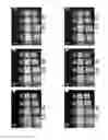 Fig. 10 - High-resolution light-field imaging