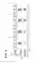 Fig. 09 - Reproducing apparatus and reproducing method