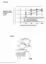 Fig. 07 - Wet-type image forming apparatus