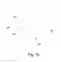 Fig. 09 - DEVELOPING DEVICE AND IMAGE FORMING APPARATUS