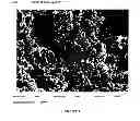 Fig. 05 - TITANIUM BORIDE